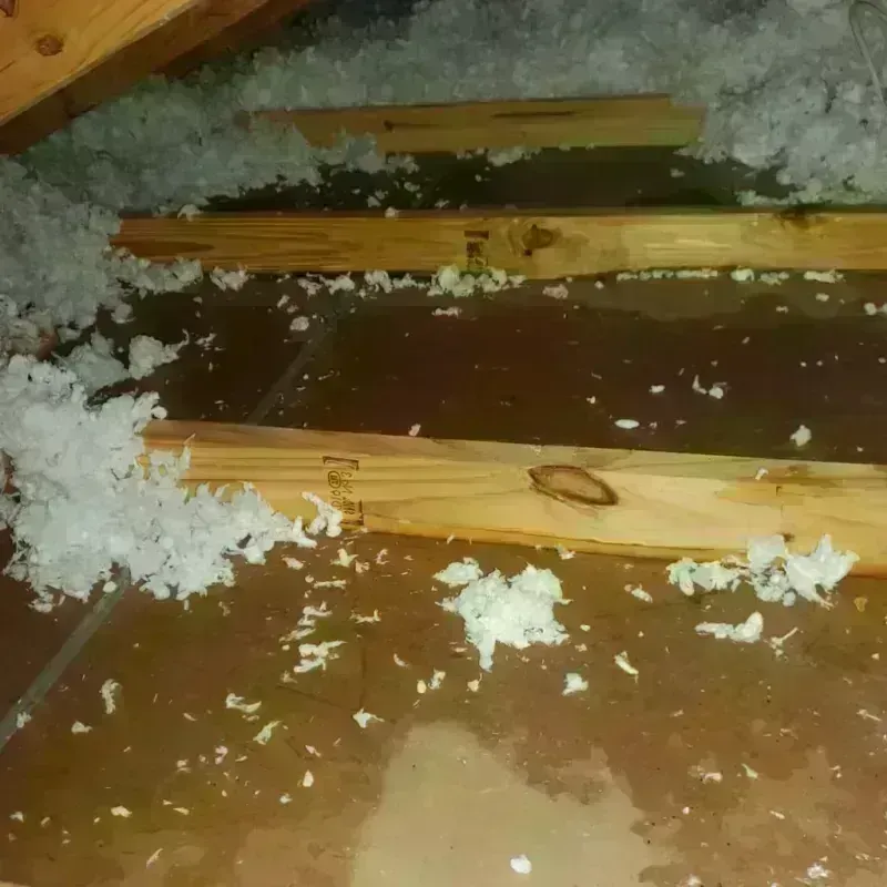 Attic Water Damage in Sherwood, OH