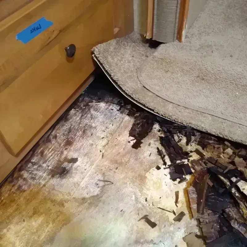 Wood Floor Water Damage in Sherwood, OH